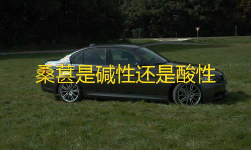 科技开挂器(免费)荒野行动桑葚是碱性还是酸性